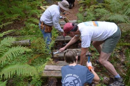 Repairs at Knox Forest, Boundary Trail (photo by Bow Open Spaces)